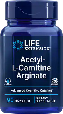 Acetyl-L-Carnitine Arginate - 90 Capsules